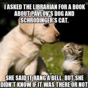 Meet your Posher, Anne